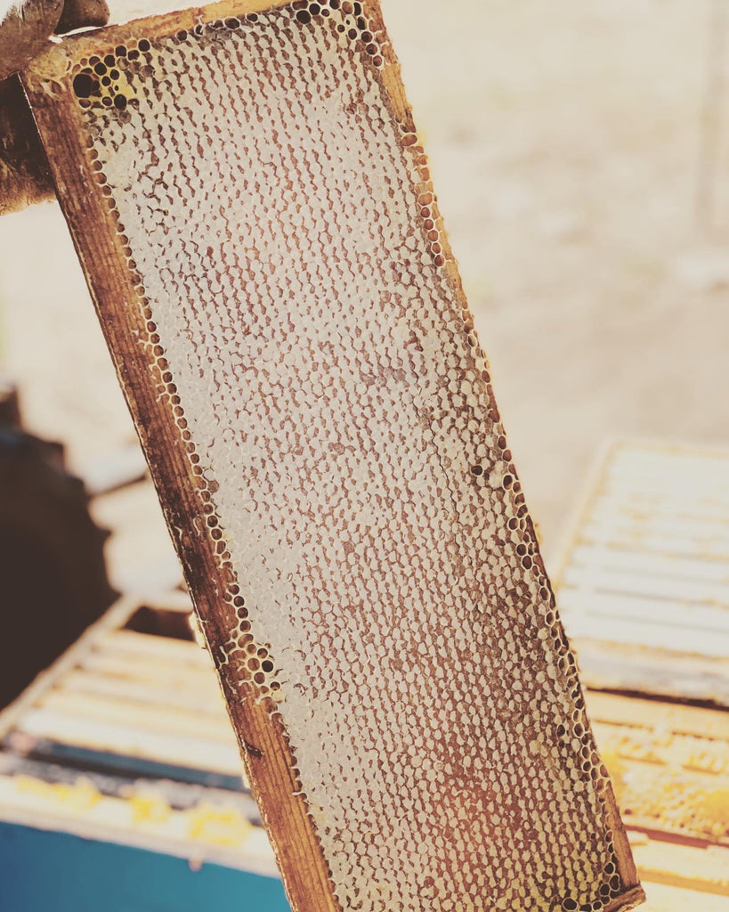 Local Raw Colorado honey